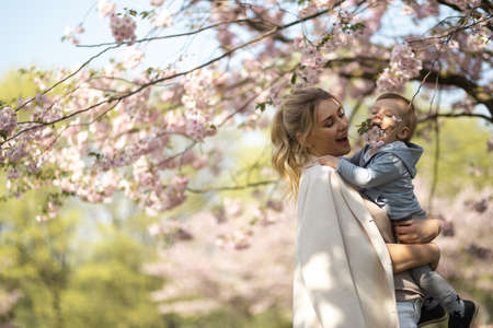 Young mother mom holding her little baby son boy child under blossoming SAKURA Cherry trees with...