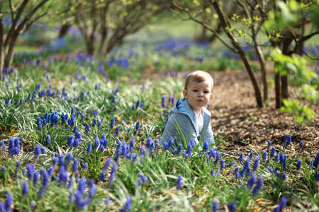 Young mother walking with a baby boy son on a muscari field in Spring - Sunny day - Grape hyacinthの写真素材