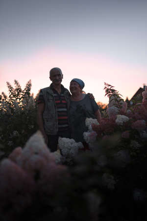 Elder couple is happy and hugging during violet pink sunset among long hydrangea flowers - Old and...