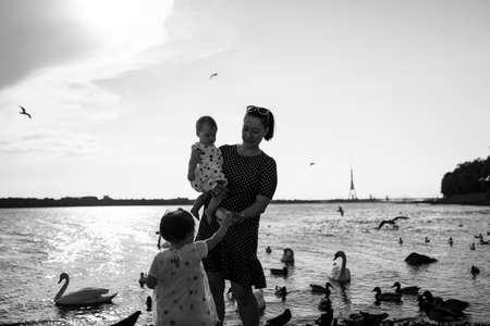 Young mother with her baby girl daughters feeding swan and little ducklings birds bread at a river wearing dotted dress - Family values warm color summer sceneの写真素材