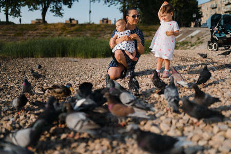 Young mother with her baby girl daughters feeding swan and little ducklings birds bread at a river wearing dotted dress - Family values warm color summer sceneの写真素材