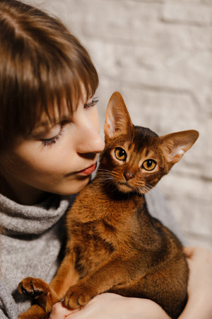 Portrait of beautiful woman and her cute Abyssinian cat or kitten at homeの写真素材