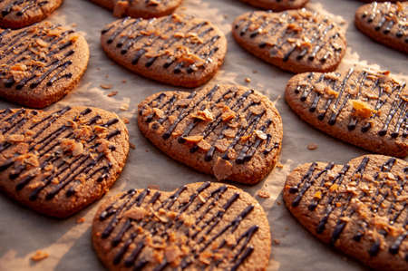 tasty cookies with chocolate on baking trayの写真素材