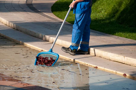 the manual worker takes the leaves out