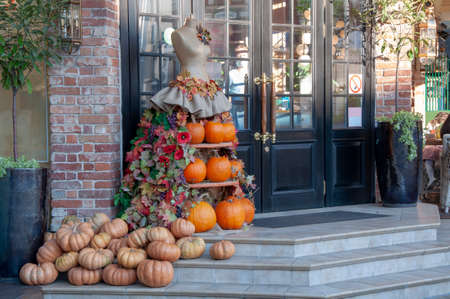 Pumpkins lie on the stairs in front of the house.の写真素材
