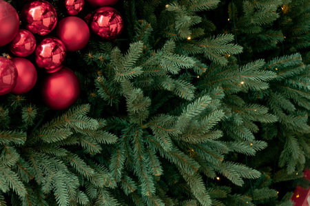 red Christmas ball hanging on Christmas tree for celebrateの写真素材