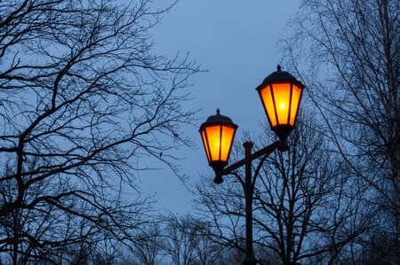A vintage lamp post with burning lamps, blue sky at dusk, lot of trees branchesの写真素材