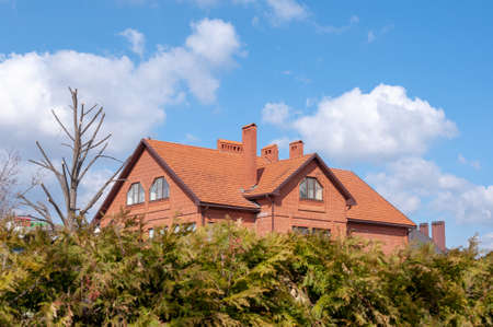 Red brick house. Hedge of Thuja trees. Row of tall evergreen thuja trees green hedge fence along path at countryside cottage backyard.の写真素材