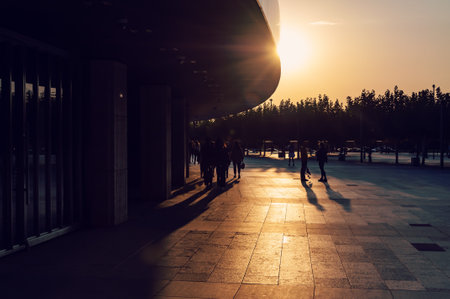 Group of people at the summer sunset on the tiled road in the city parkの写真素材