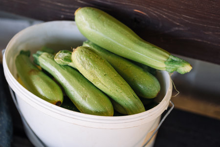 Large zucchini in a white bucket. Summer vegetables harvest background. Farmers product with eco and ripe vegetableの写真素材