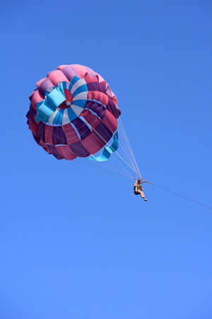 Paraglidingの写真素材