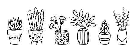 Flowers in pots and vases doodle hand drawn outline sketch. Decorative potted house plant sketch. Isolated vector illustrationのイラスト素材