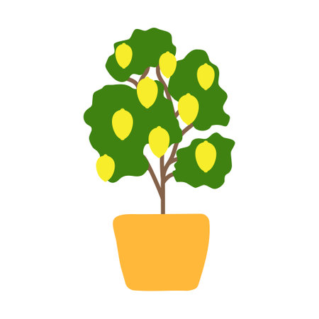 Lemon tree in a pot. Potted citrus tree in simple hand drawn style. Isolated vector illustrationのイラスト素材