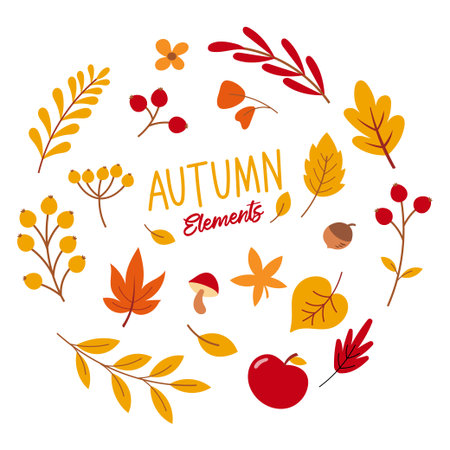 Autumn season vector element. Background of autumn leaves, berries, flowers and acorns.のイラスト素材