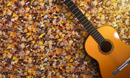 3d rendering guitar on vintage autumn gardenの写真素材