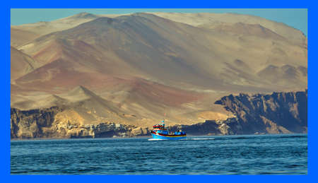 Ballestas Islands 137の写真素材