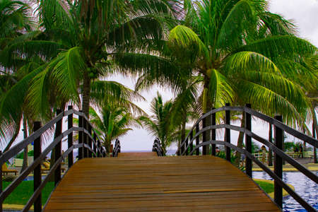 passage with palm treesの写真素材