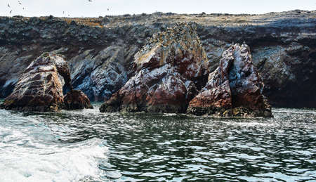 the Ballestas Islands 108の写真素材