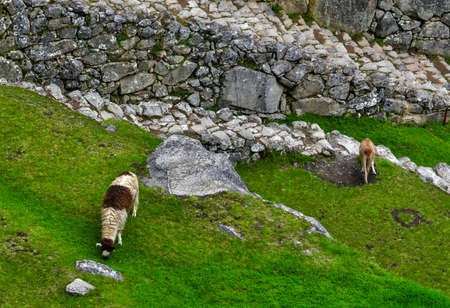 Machu Picchu - The Lost City of the Incas 147のeditorial素材