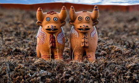 Toritos  PucarÃ¡ on a roof at Sillustaniiの写真素材