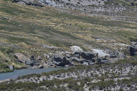 Altiplano or the Andean plateau, in South Central America, is the area where the Andes are the...