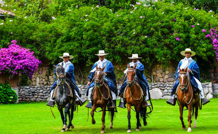 Paso Peruvian horse
Due to its unique lateral movement in four strokes, the Paso Peruan horse has the lightest riding journey in the world. It is also one of the horses that stands out best.....の写真素材