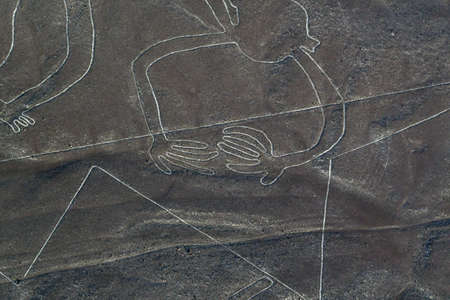 Stunning images above the Nazca lines
Nazca is a city and desert in Peru, responsible for the Nazca...