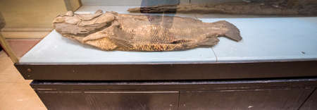 The Egyptian Museum of Antiquities -Cairo- (inside view), contains many important pieces of ancient...