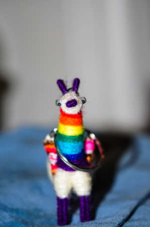 Peruvian keychain, made of Cusco alpaca wool 
The keychain is a small amulet representing a handmade alpaca made of brightly colored alpaca wool that can be attached by a ring to the owner s keysの写真素材