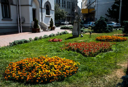 Three spotted brothers is a wild flower of European origin, which grows in all seasons, colorful, cheerful, are among the most beautiful flowers to decorate balconies, planters and gardens.の写真素材