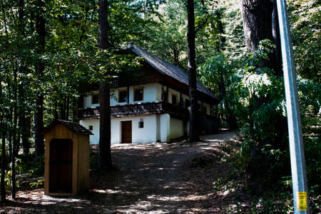 Forest Department,is a forestry administrative building,which organizes and executes works of cultivation,restoration,protection and guarding of forests, protection and recovery of game and fishの写真素材