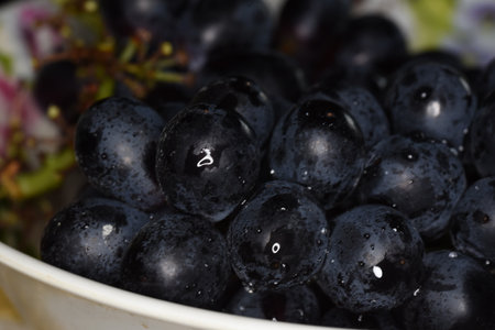 Close up of black grapes in a bowl with water droplets.の写真素材
