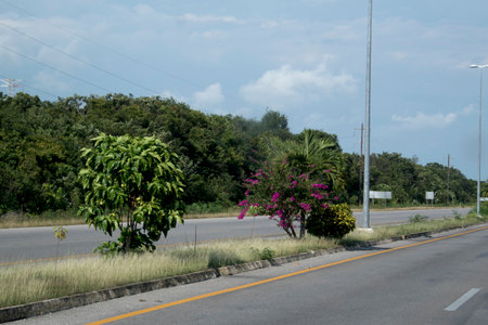 View on the road to Jalan Saujana, Jalan Saujana.の写真素材