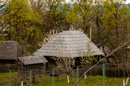 Wooden houses in the village in the spring. Curtisoara, Romaniaの写真素材