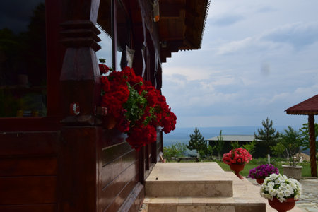 Beautiful red flowers in a flowerpot on the background of the mountainsの写真素材