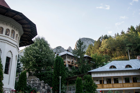 Mountain landscape with wooden houses in the middle of the forest.