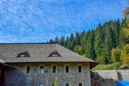 Wooden house in the mountains with a view of the forest.