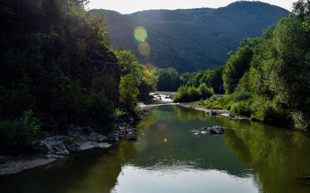Landscape with river and forest in the mountains. Beautiful summer landscape.