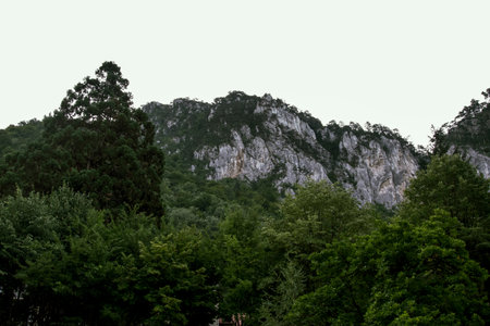 Mountain landscape with green trees, forest and white clouds in the sky