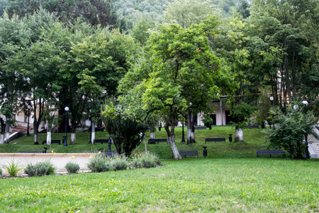 View of the old cemetery in the city of Krakow, Polandの写真素材