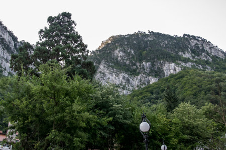 Mountain landscape with trees in Montenegro, Balkans