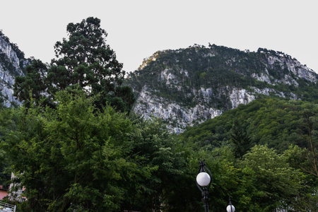 mountains and trees in the city of kotor in Montenegro