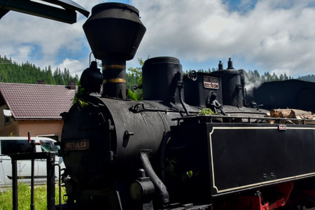 Old steam locomotive on display at the annual Steam Train Festival in Jasper National Park, Alberta,...