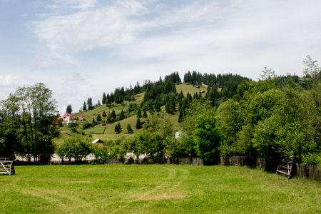 Landscape view of green meadow and village in the mountains.の写真素材