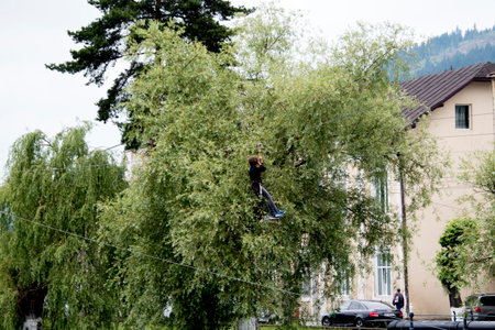 A man is hanging on a tree branch.