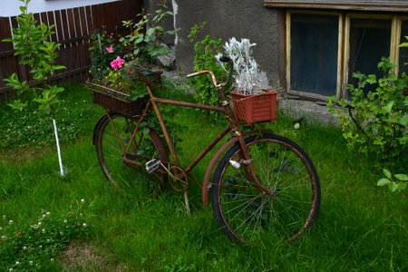 Old bicycle with basket full of flowers on the lawn in front of the houseの写真素材