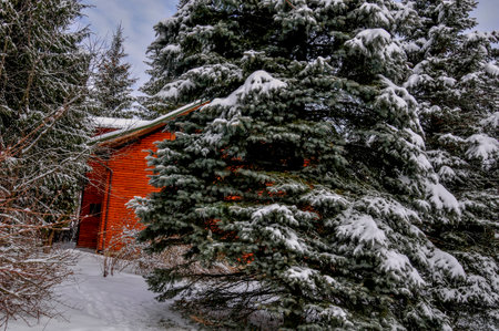 Red wooden house in winter forest with snow covered trees and blue skyの写真素材