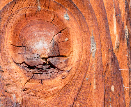 Old wood texture with natural pattern for background and design art work.の写真素材