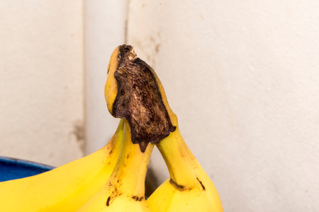 Close up of a banana in a blue bowl on a white backgroundの写真素材