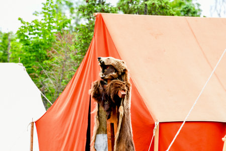 Bear with a fur hat on the background of an orange tentの写真素材